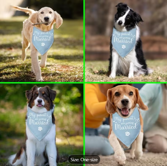 My Parents Are Getting Married She Said Yes Dog Bandana blue