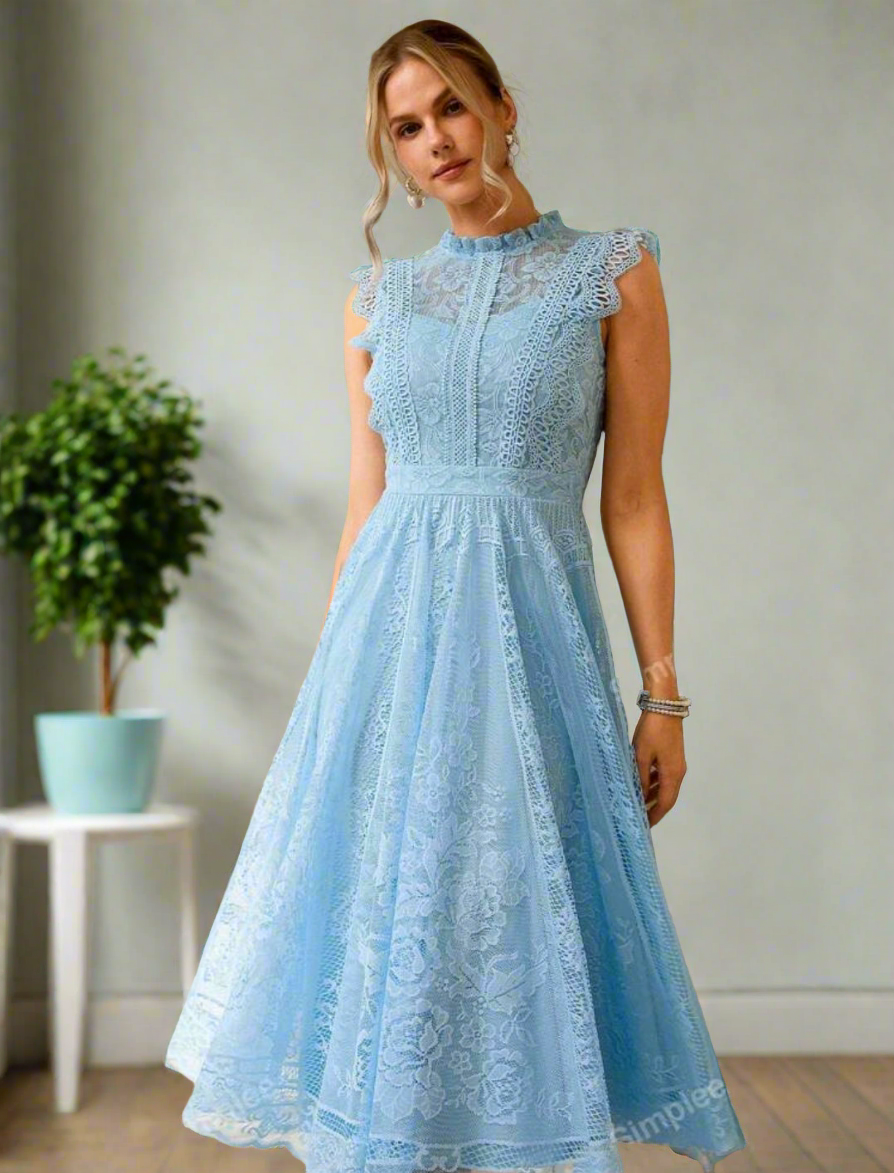 Lace Fan-Shaped Dress