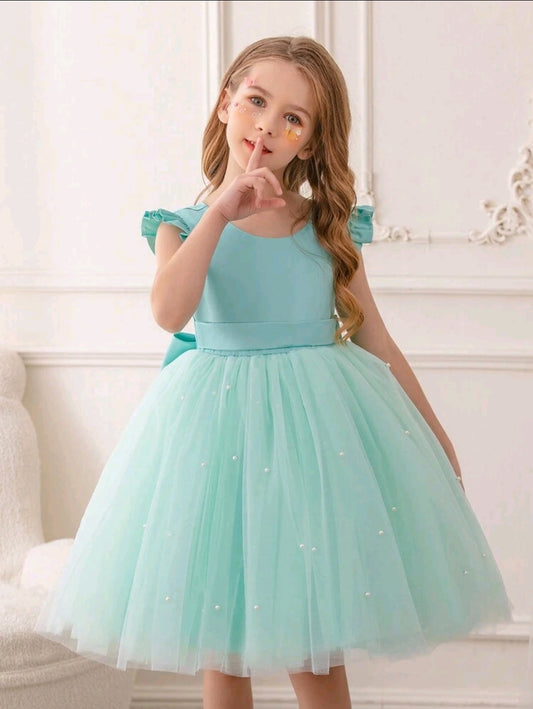 Tulle Dress Princess