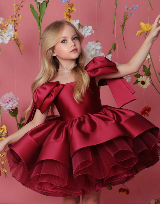 Burgundy Bow Tulle Christmas Party Elegant Dress
