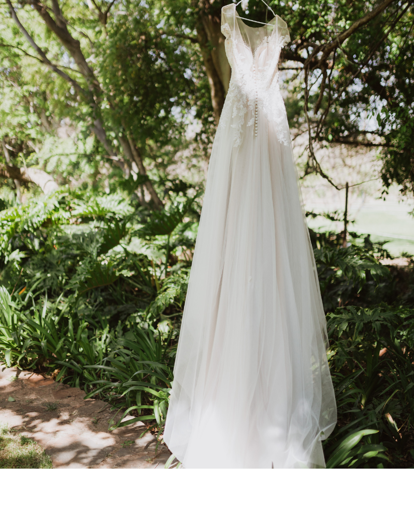Elodie | Romantic Blush A-Line Wedding Dress