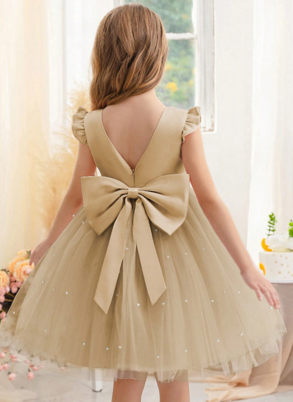 Girls Elegant Tulle Dress Champaigne