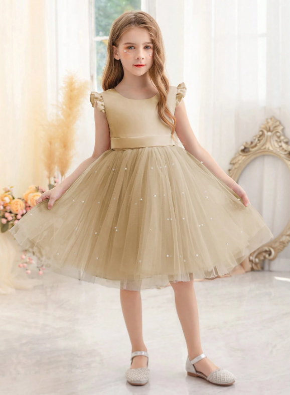 Girls Elegant Tulle Dress Champaigne
