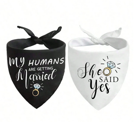 My Humans Are Getting Married She Said Yes Dog Bandana