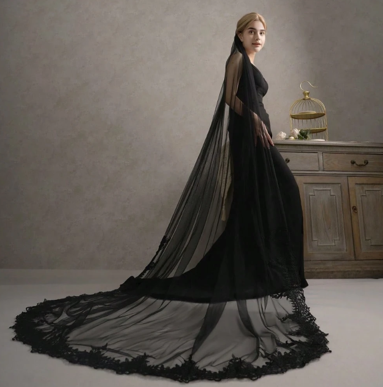 Lace Edge Bridal Veil Black