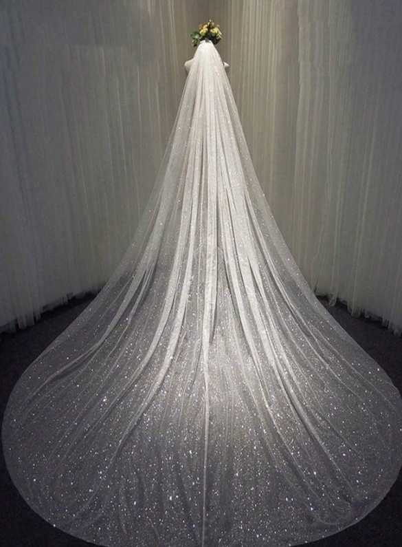 Glittered Single-Layer Tulle Veil
