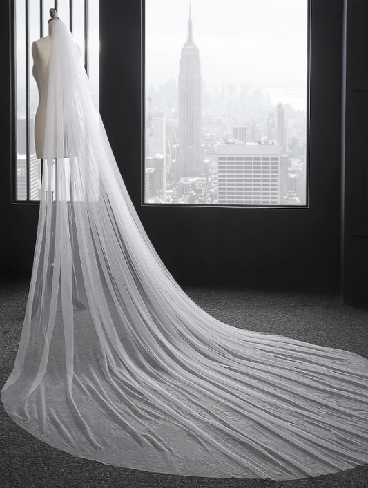 3m*3m  Minimalist Design Veil Beige