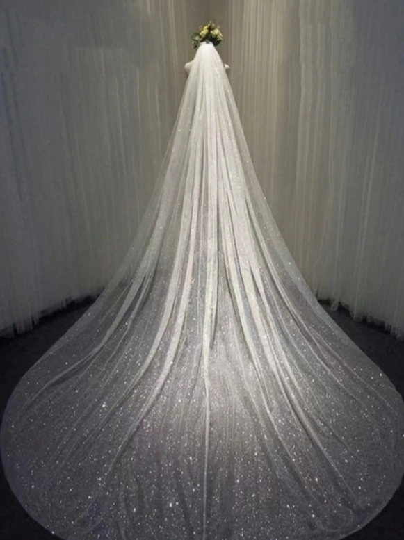 Glittered Single-Layer Tulle Veil